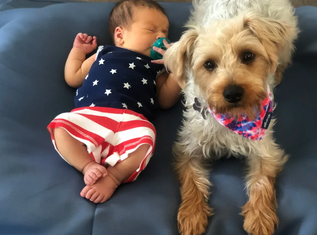 A newborn baby resting beside a small scruffy dog in a bandana