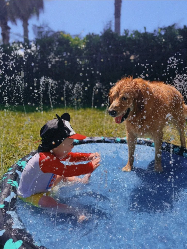 Child and dog playing together in a splash pool during a family enrichment session