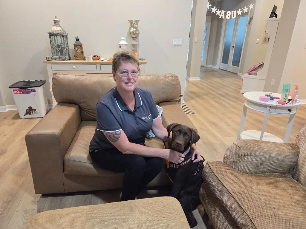 Private in-home training session with a chocolate Labrador in a Tampa living room