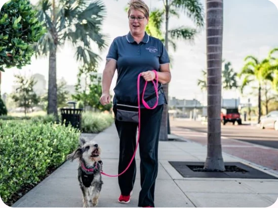 Heide Maglott walking a small dog on a pink leash in Tampa Bay