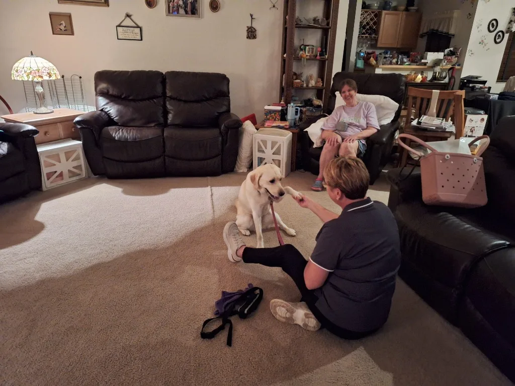 In-home positive reinforcement dog training session
