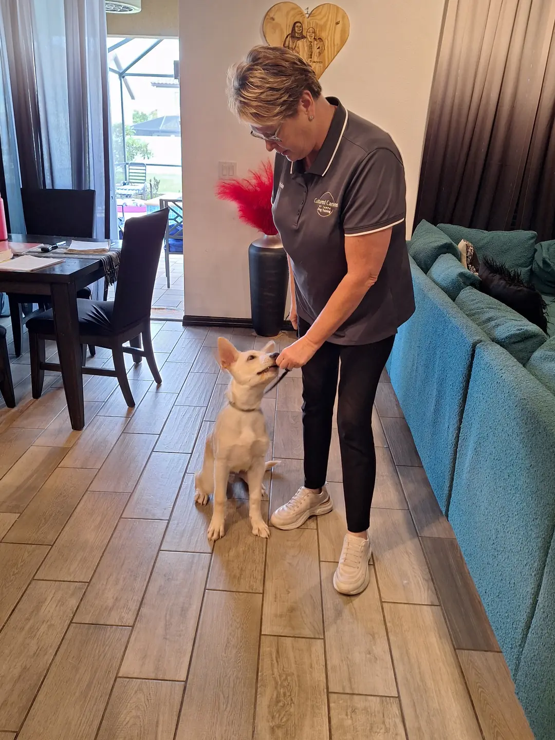 The same puppy sitting calmly and looking up at Heide during an in-home training session